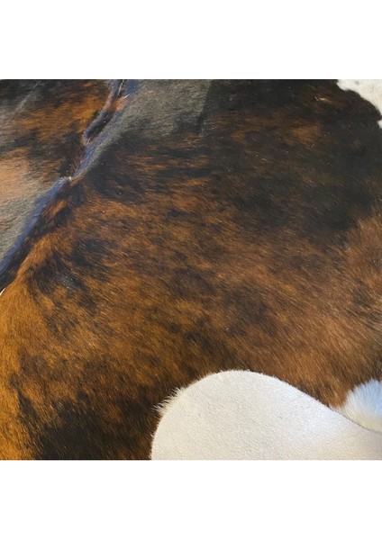 Hakiki Deri Dana Postu Egzotik 220 x 240 - 0401000352 fırsatları