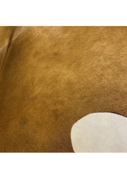 Hakiki Deri Dana Postu Kahve 170 x 210 - 0201000036 fırsatları