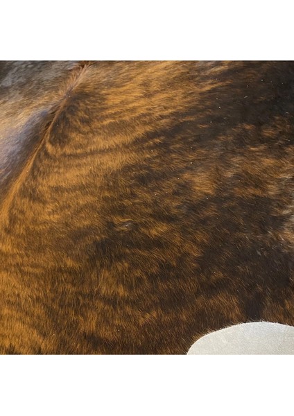 Hakiki Deri Dana Postu Egzotik 190 x 210 - 0401000116 fırsatları