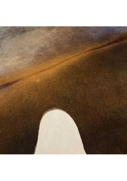 Hakiki Deri Dana Postu Kahve 185 x 220 - 0201000092 fırsatları