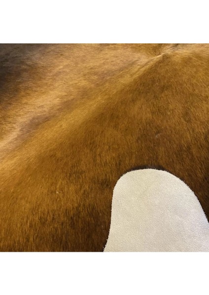 Hakiki Deri Dana Postu Mıx Kahve 200 x 235 - 1001000070 fırsatları