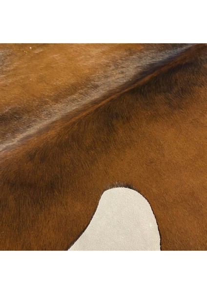 Hakiki Deri Dana Postu Mıx Kahve 165 x 200 - 1001000048 fırsatları