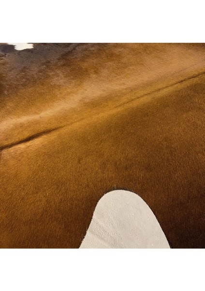 Hakiki Deri Dana Postu Mıx Kahve 175 x 225 - 1001000119 fırsatları