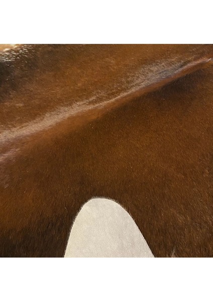 Hakiki Deri Dana Postu Mıx Kahve 185 x 205 - 1001000135 fırsatları