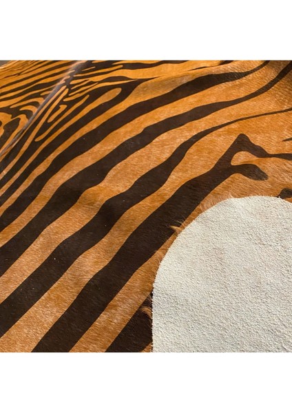 Hakiki Deri Dana Postu Kahve Zebra 210 x 235 - 1101000044 fırsatları