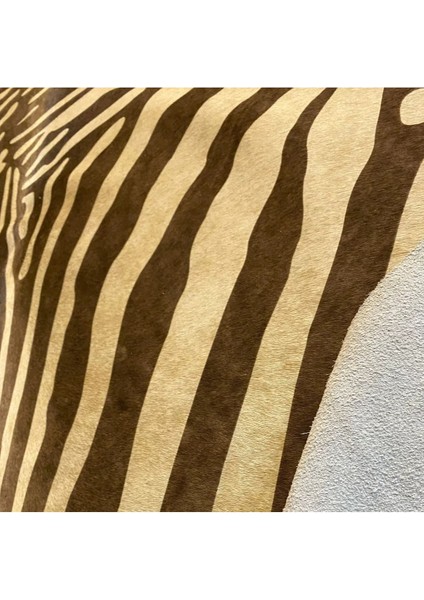 Hakiki Deri Dana Postu Kahve Zebra 200 x 225 - 1101000042 fırsatları
