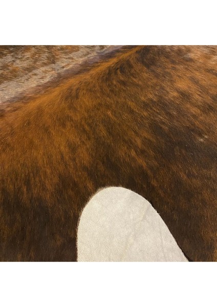 Hakiki Deri Dana Postu Egzotik 225 x 250 - 0401000387 fırsatları