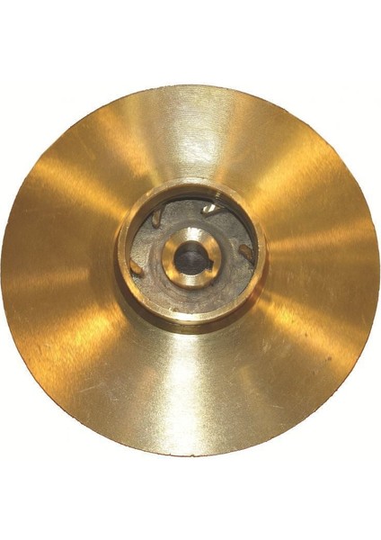JSWM110 Jet Pompa 1,5 Hp - Pirinç Çarklı