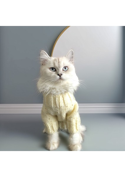 Kedi ve Köpek Için Işıltılı Krem Rengi Kazak