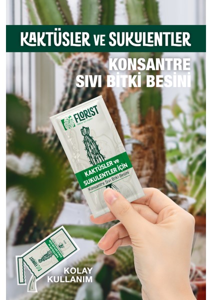 Bitki Besini – Yeşil Yapraklı & Kaktüs Süper Ikili | Yapraklar Işıldasın, Kaktüsler Güçlensin