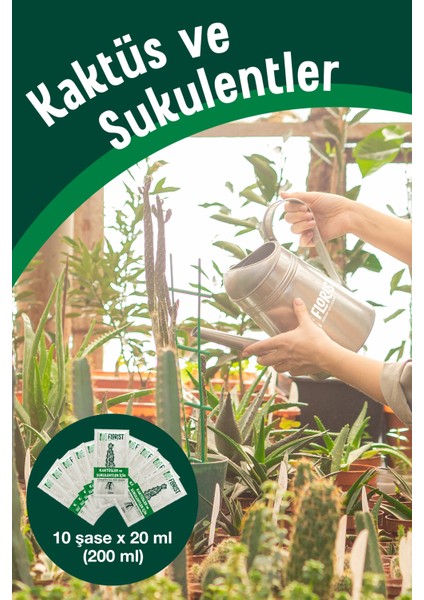 Bitki Besini – Yeşil Yapraklı & Kaktüs Süper Ikili | Yapraklar Işıldasın, Kaktüsler Güçlensin