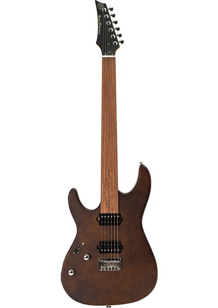 FTS241 Mat Koyu Kahve Elektro Perdesiz Gitar