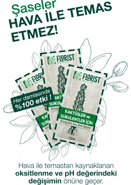 Bitki Besini – Kaktüs & Tüm Bitkiler Ekonomik Set | Her Eve Uygun Bitki Destekçisi fiyatları