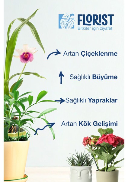 Bitki Besini – Kaktüs & Tüm Bitkiler Ekonomik Set | Her Eve Uygun Bitki Destekçisi indirimleri