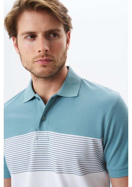 Erkek Regular Fit Çok Renkli % 100 Pamuk Pike Polo Yaka Tişört Y29374355002 fiyatları