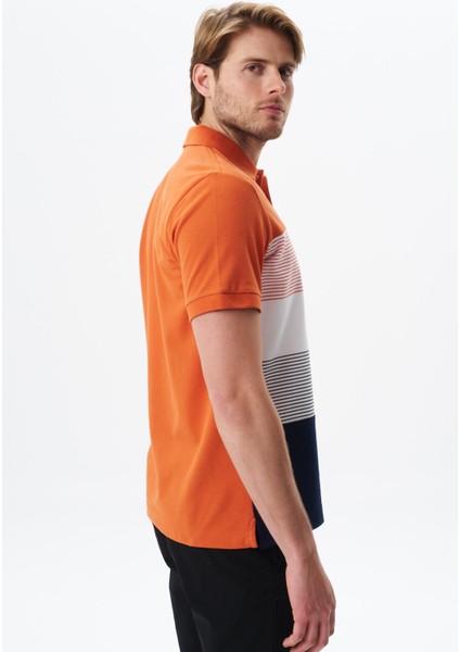 Erkek Regular Fit Çok Renkli Pamuk Pike Polo Yaka Tişört Y29374355002 fırsatları