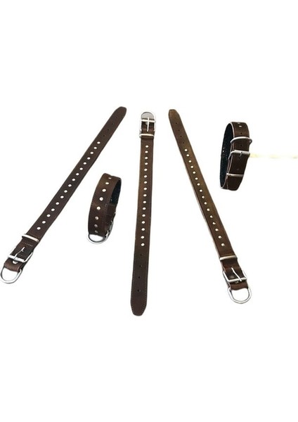 Kahverengi Rivet Süslü Orta Irk Köpek Tasması 3,5 cm Eninde 60 cm Boyunda