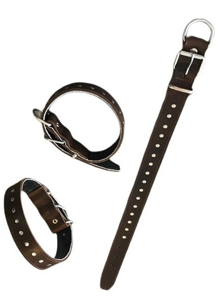 Kahverengi Rivet Süslü Orta Irk Köpek Tasması 3,5 cm Eninde 60 cm Boyunda fiyatları