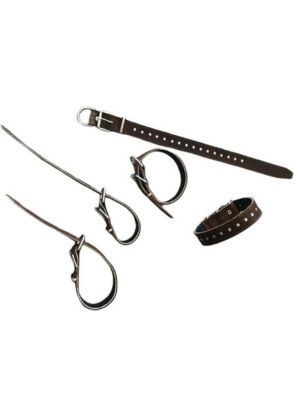 Kahverengi Rivet Süslü Orta Irk Köpek Tasması 3,5 cm Eninde 60 cm Boyunda fırsatları