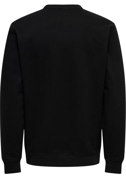 Only&sons Onsdavıd Reg Crew Sweat Siyah Erkek Sweatshirt fiyatları