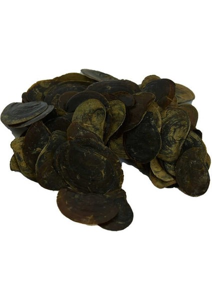 Cin Tırnağı 100 gr Paket