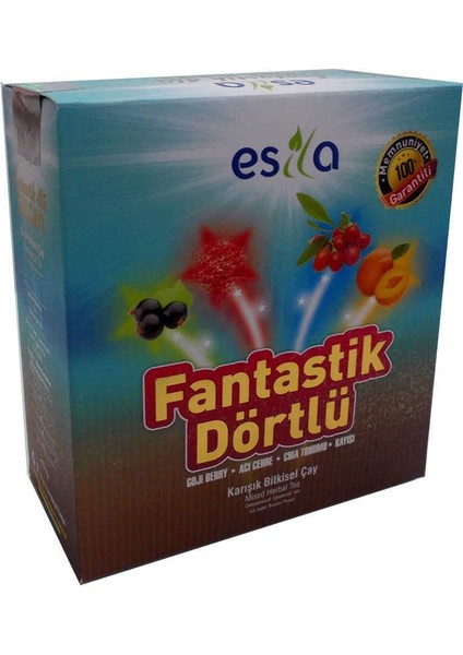 Fantastik Dörtlü Bitkisel Yaz Çayı 45 Süzen Poşet