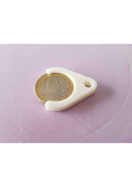 Bir Euro Madeni Para Için Anahtar Zincir THN2962564