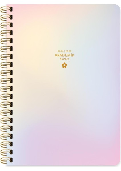 Color 17 * 24 Spiralli Akademik Ajanda - Rüya