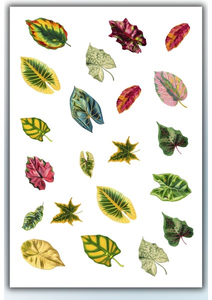 Yaprak Temalı Sticker Planner Ajanda Bullet Journal Için Uygun