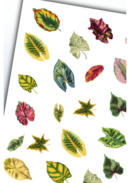 Yaprak Temalı Sticker Planner Ajanda Bullet Journal Için Uygun modelleri