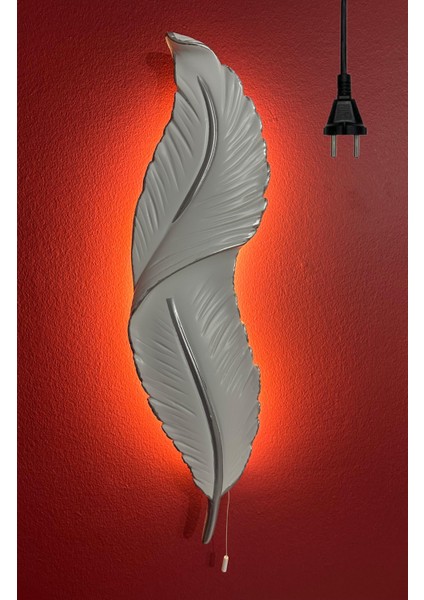 Tüy Aplik Ledli Dekoratif Duvar Aydınlatma 60 x 16 cm (Trafolu) Elektrik Bağlantılı