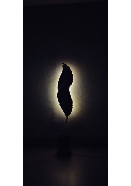 Tüy Aplik Ledli Dekoratif Duvar Aydınlatma 60 x 16 cm (Trafolu) Elektrik Bağlantılı