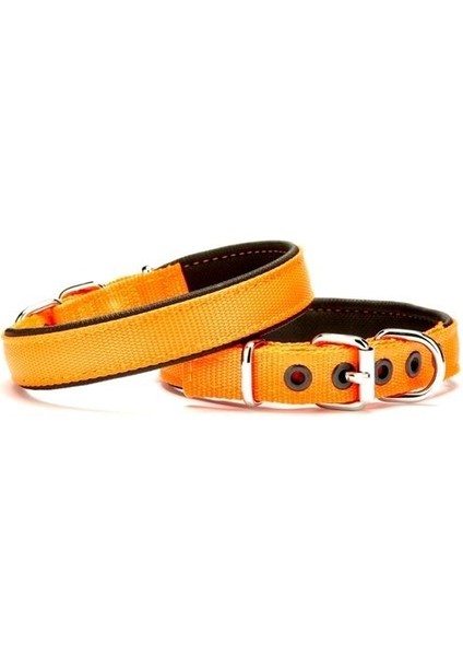 Softlu Köpek Boyun Tasması 2 cm x 40 cm Turuncu