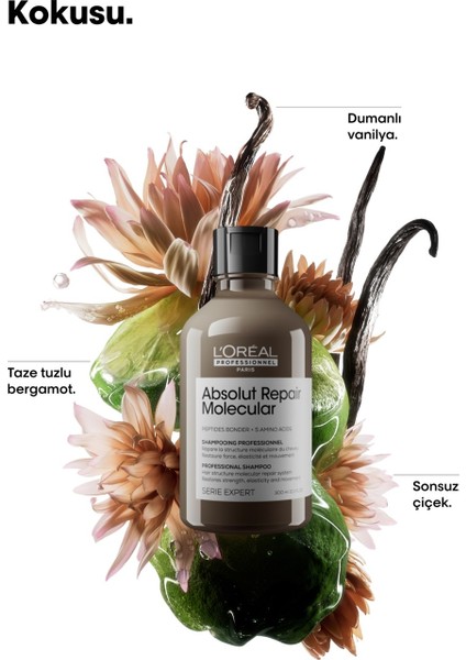 Serie Expert Absolut Repair Molecular Tüm Yıpranmış Saçlar Için Arındırıcı Şampuan 300ML modelleri