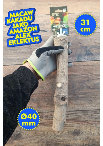 Venty 31 cm - Ø40 mm Doğal Papağan Tüneği - Kalın Kafes Tüneği | Macaw, Kakadu, Jako, Amazon, Eklektus, Alexander - V866
