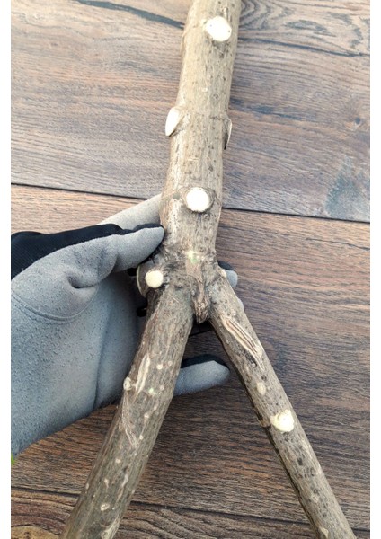 Venty 46CM Doğal Papağan Tüneği - Şekilli Dal Tünekl | Macaw, Kakadu, Jako, Amazon, Eklektus, Alexander, Kayık - T435