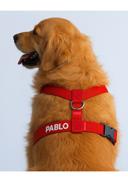 Güvenlik Amaçlı Numaralı Isimli Köpek Göğüs Tasması Kişiye Özel Göğüs Tasması (Nakışlı)