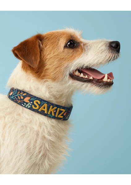 Kişiye Özel Köpek Boyun Tasması Isme Özel Köpek Tasması Isimli Köpek Tasması (Desenli)