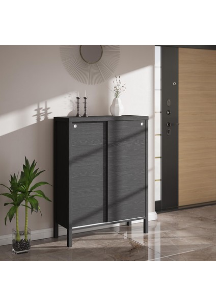 Venezia 2 Sürgülü Kapaklı, Ahşap Ayaklı, Premium Ayakkabılık, Çok Amaçlı Dolap - Minifiks - Wood Siyah