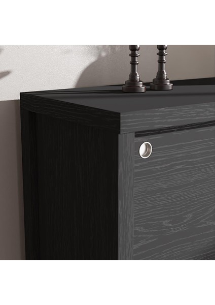 Venezia 2 Sürgülü Kapaklı, Ahşap Ayaklı, Premium Ayakkabılık, Çok Amaçlı Dolap - Minifiks - Wood Siyah indirimleri