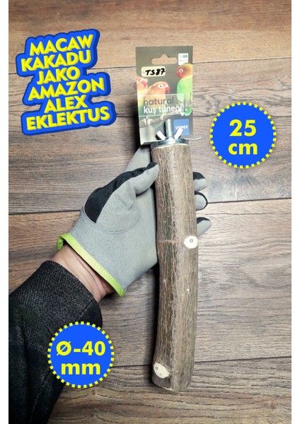 Venty 25 cm Doğal Papağan Tüneği - Ø40 mm Kalın Kafes Tüneği | Macaw, Kakadu, Jako, Amazon, Eklektus, Alexander - T587