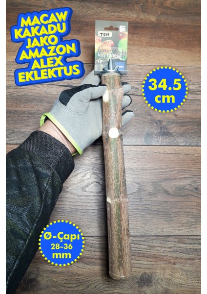 Venty 34.5 Doğal Papağan Tüneği | Macaw, Kakadu, Jako, Amazon, Eklektus, Alexander, Kayık - T601
