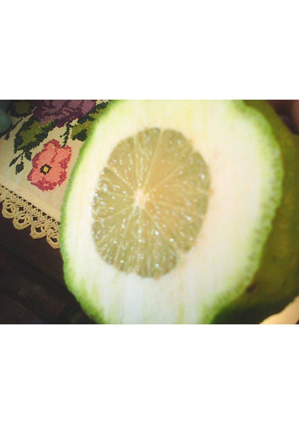 Bergamot Reçeli modelleri