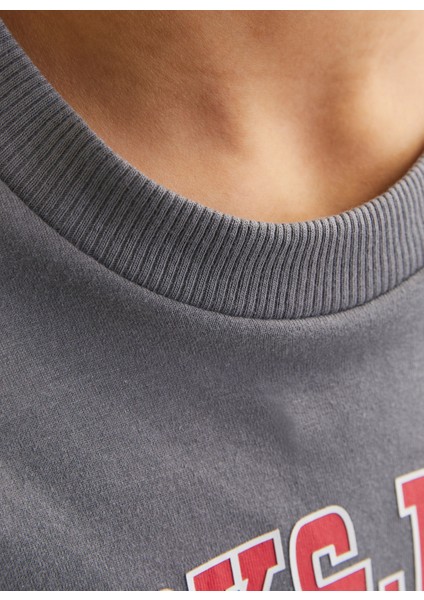 Baskılı Füme Erkek Çocuk T-Shirt 12258924 fırsatları