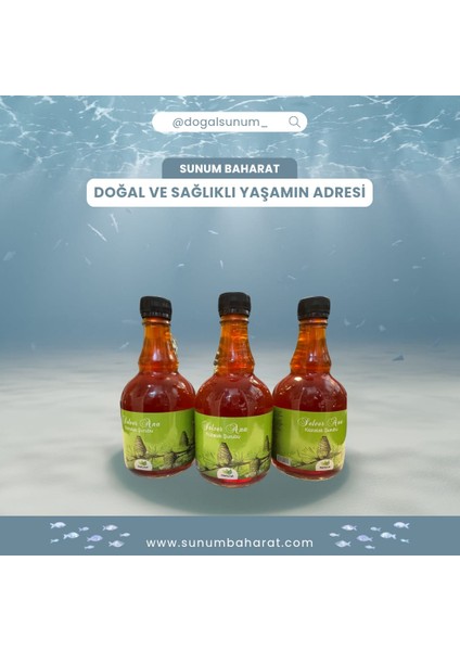 Kozalak Şurubu 500 gr fiyatları