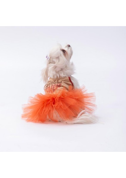 Bej Girl Power Kedi Köpek Elbisesi - Kedi Köpek Kıyafeti