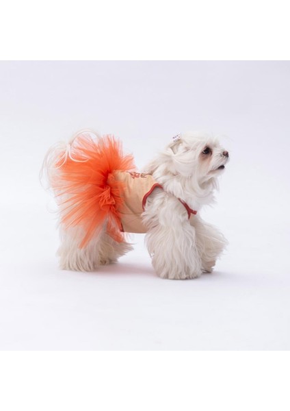 Bej Girl Power Kedi Köpek Elbisesi - Kedi Köpek Kıyafeti fiyatları