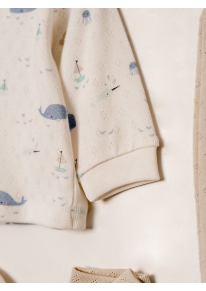 KD53459 Jakarlı Baskılı Erkek Bebek 5'li Hastane Çıkışı Seti (0-1 / 1-3 Ay) indirimleri