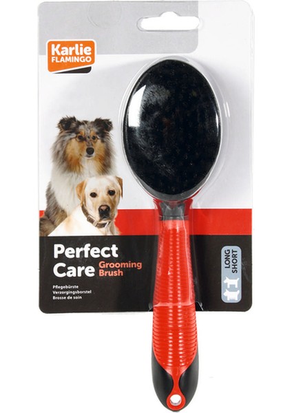 Karlıe Köpek Fırçası
