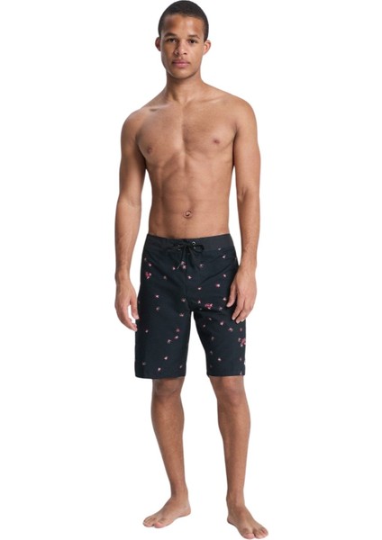 Everyday Straıght 20